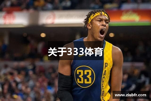关于333体育